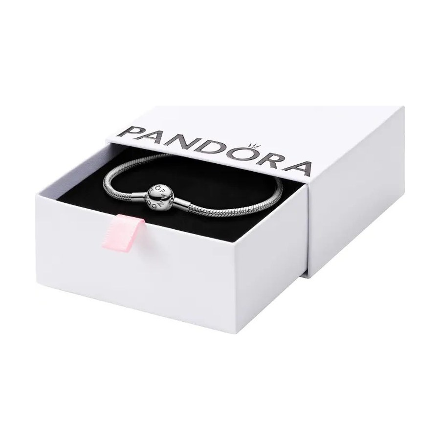Pandora charm bracelet, a gift idea for 10 year old girls
