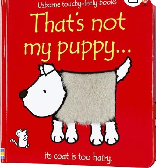 Usborne That's Not My touch and feel books